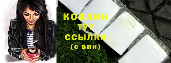 гидропоника Пересвет