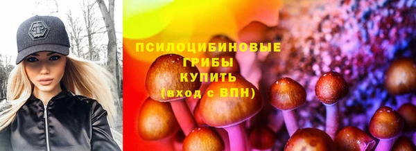тгк Переславль-Залесский